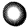 Thumb 
for SUNBURST.jpg (18 
KB)