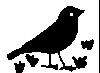 Thumb 
for BLAKBIRD.jpg (10 
KB)
