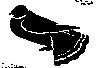 Thumb 
for FANTAIL.jpg (18 
KB)