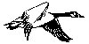 Thumb 
for FLYGOOSE.jpg (51 
KB)