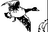 Thumb 
for GOOSE.jpg (37 
KB)