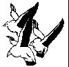 Thumb 
for GROUSES.jpg (33 
KB)