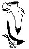 Thumb 
for GULFINCH.jpg (22 
KB)