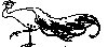 Thumb 
for HENTURKY.jpg (33 
KB)