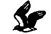 Thumb 
for LARK.jpg (9 
KB)