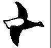 Thumb 
for LAWNDUCK.jpg (7 
KB)