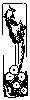 Thumb 
for LYREBIRD.jpg (53 
KB)