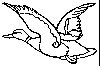 Thumb 
for MALLARD.jpg (50 
KB)