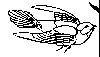 Thumb 
for MARTIN.jpg (36 
KB)