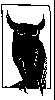 Thumb 
for OWL.jpg (32 
KB)