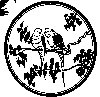Thumb 
for PARAKEET.jpg (79 
KB)