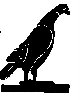 Thumb 
for PIDGEON.jpg (15 
KB)