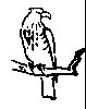 Thumb 
for REDTAIL.jpg (22 
KB)