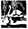 Thumb 
for RIVRSWAN.jpg (90 
KB)