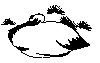 Thumb 
for SNOWBIRD.jpg (28 
KB)