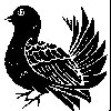 Thumb 
for TINYBIRD.jpg (28 
KB)