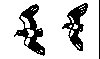 Thumb 
for TWOLARKS.jpg (16 
KB)