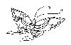 Thumb 
for BFLY_04.jpg (61 
KB)