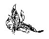 Thumb 
for BFLY_06.jpg (37 
KB)