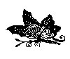 Thumb 
for BFLY_07.jpg (29 
KB)
