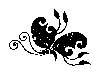 Thumb 
for BFLY_10.jpg (30 
KB)