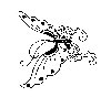 Thumb 
for BFLY_12.jpg (45 
KB)