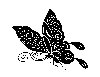 Thumb 
for BFLY_14.jpg (40 
KB)
