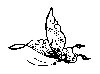 Thumb 
for BFLY_15.jpg (36 
KB)