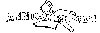 Thumb 
for REPORT.jpg (12 
KB)