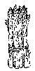 Thumb 
for ASPARGUS.jpg (76 
KB)