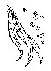 Thumb 
for BEANS.jpg (46 
KB)