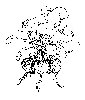 Thumb 
for BEETS.jpg (127 
KB)