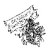 Thumb 
for BOUQUET.jpg (81 
KB)