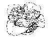 Thumb 
for BROCCOLI.jpg (122 
KB)