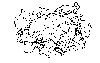Thumb 
for CAULIFLR.jpg (129 
KB)