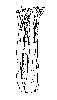 Thumb 
for CELERY.jpg (58 
KB)