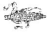 Thumb 
for CORN.jpg (64 
KB)