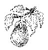 Thumb 
for EGGPLANT.jpg (100 
KB)