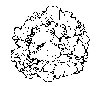 Thumb 
for LETTUCE.jpg (70 
KB)