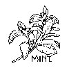Thumb 
for MINT2.jpg (44 
KB)