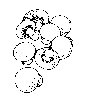 Thumb 
for MUSHROOM.jpg (51 
KB)