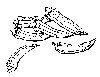 Thumb 
for OKRA.jpg (60 
KB)