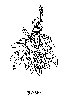 Thumb 
for SAGE1.jpg (53 
KB)
