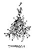 Thumb 
for TARRAGON.jpg (57 
KB)