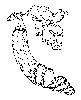 Thumb 
for ZUCCHINI.jpg (77 
KB)