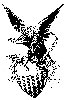 Thumb 
for EAGLE1.jpg (93 
KB)