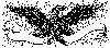 Thumb 
for EAGLE2.jpg (257 
KB)