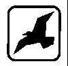 Thumb 
for BIRD.jpg (11 
KB)