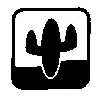Thumb 
for CACTUS.jpg (11 
KB)