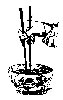 Thumb 
for CHOPSTIC.jpg (22 
KB)